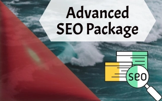 Advanced SEO Package – Ideal for Growing Businesses